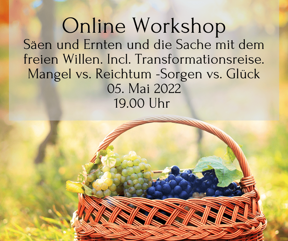 WEbsiteOnline Workshop Säen und Ernten und die Sache mit dem freien Willen. (1) WEbsiteOnline Workshop Säen und Ernten und die Sache mit dem freien Willen. (1)